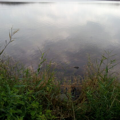 The secrets of water