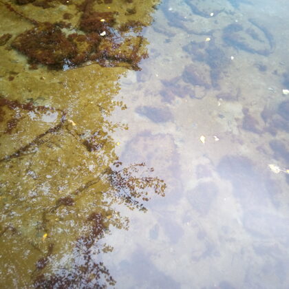 The secrets of water