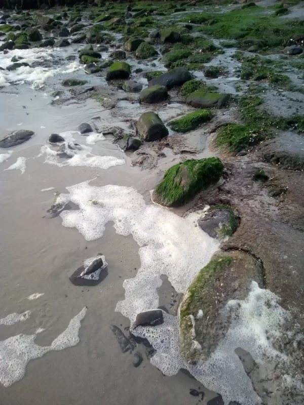 footprints of water